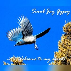 Welcome to my Closet!